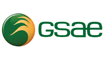 GSAE